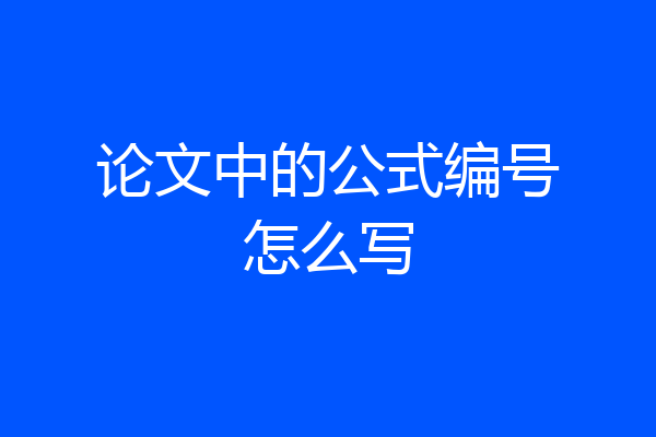 论文中的公式编号怎么写