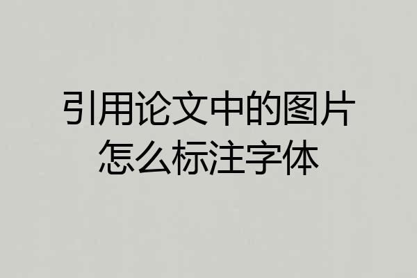 引用论文中的图片怎么标注字体