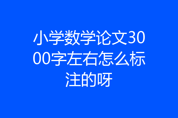 小学数学论文3000字左右怎么标注的呀