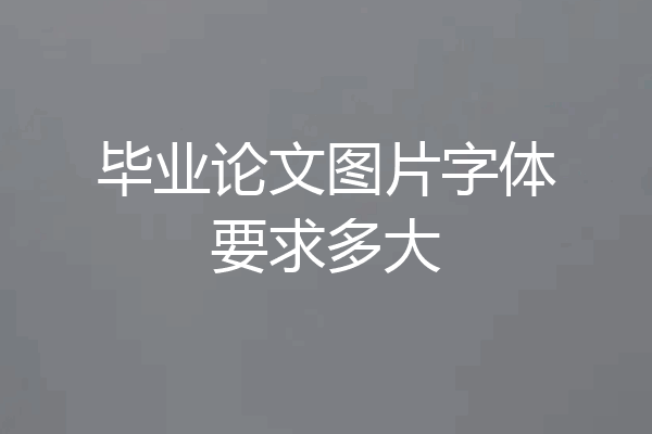 毕业论文图片字体要求多大