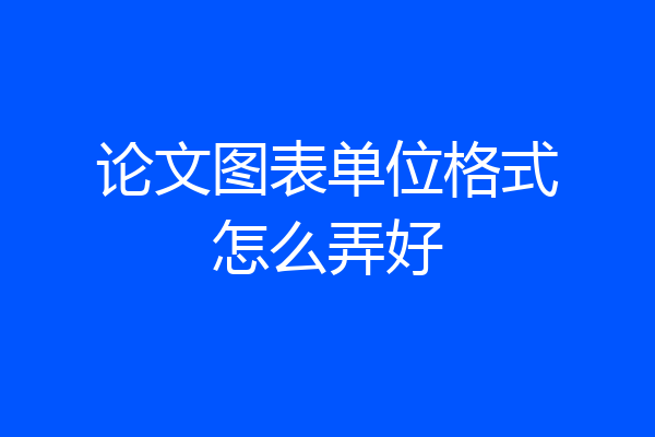 论文图表单位格式怎么弄好