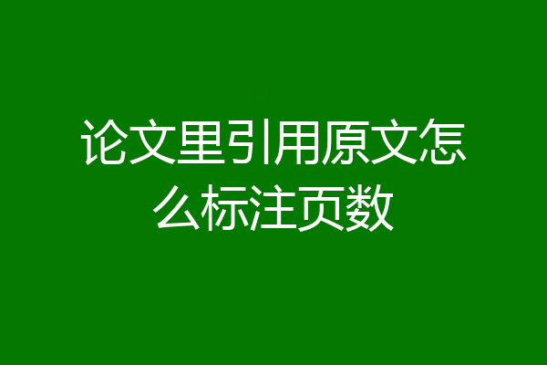 论文里引用原文怎么标注页数