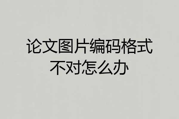 论文图片编码格式不对怎么办
