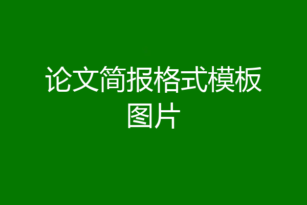 论文简报格式模板图片