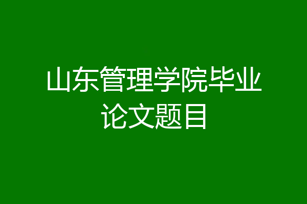 山东管理学院毕业论文题目