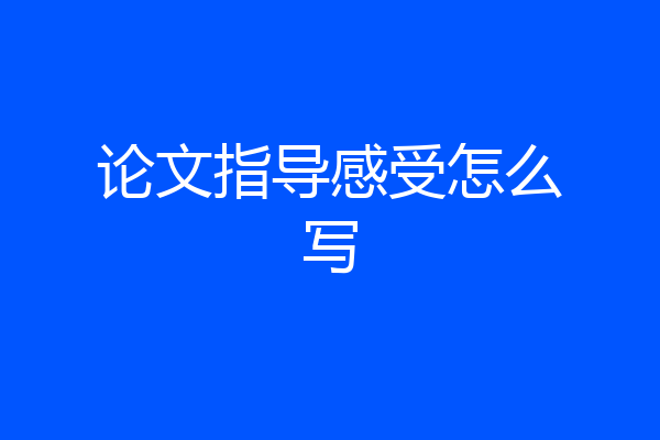 论文指导感受怎么写