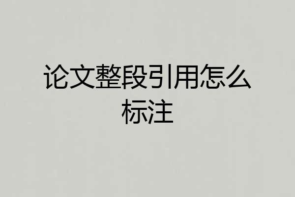 论文整段引用怎么标注