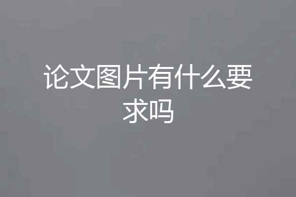 论文图片有什么要求吗