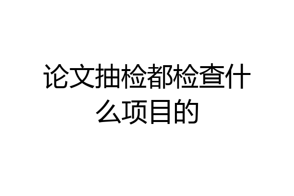 论文抽检都检查什么项目的