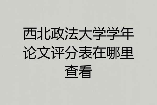西北政法大学学年论文评分表在哪里查看
