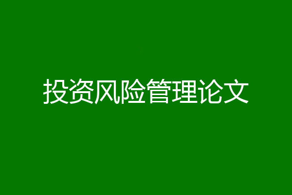 投资风险管理论文