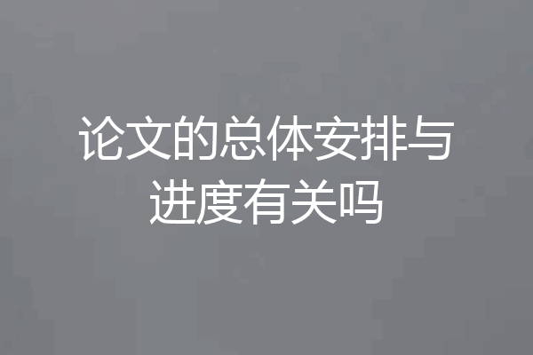 论文的总体安排与进度有关吗