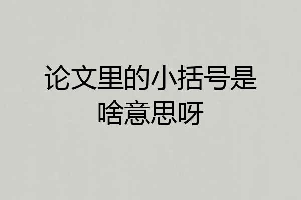 论文里的小括号是啥意思呀