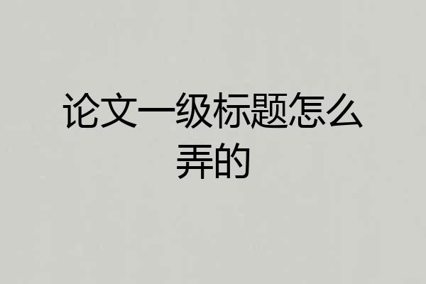 论文一级标题怎么弄的
