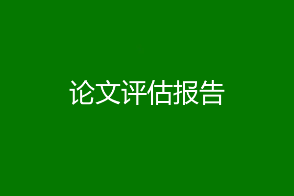 论文评估报告
