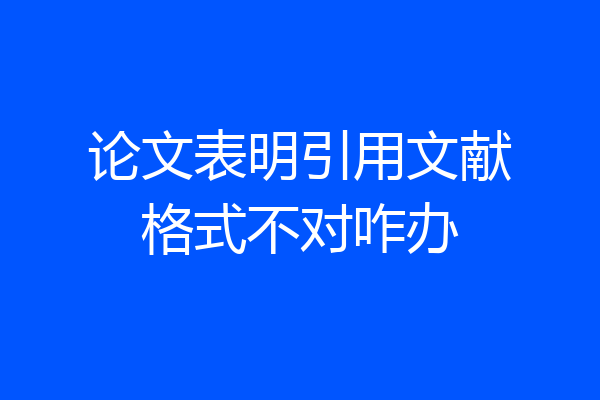论文表明引用文献格式不对咋办
