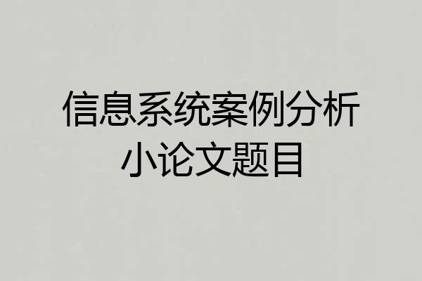信息系统案例分析小论文题目