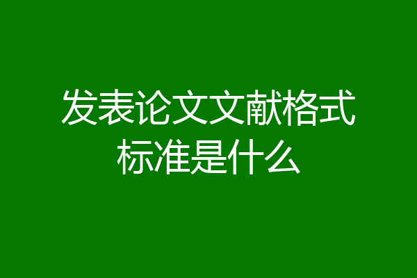 发表论文文献格式标准是什么