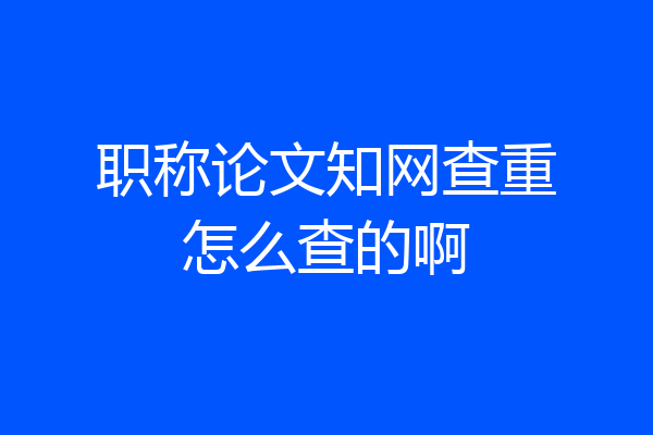 职称论文知网查重怎么查的啊