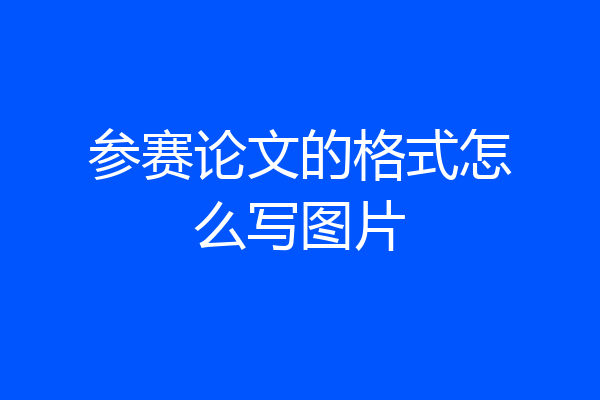 参赛论文的格式怎么写图片