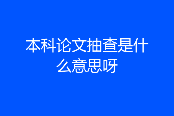 本科论文抽查是什么意思呀