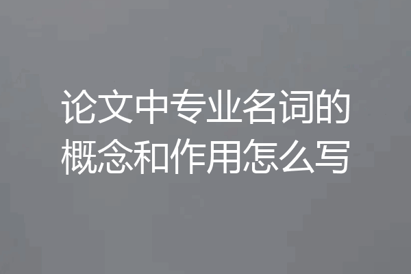 论文中专业名词的概念和作用怎么写