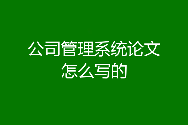 公司管理系统论文怎么写的