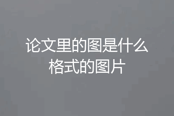 论文里的图是什么格式的图片