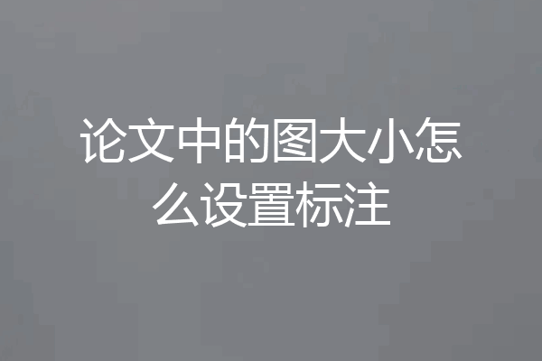 论文中的图大小怎么设置标注