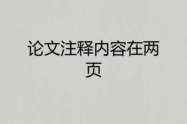 论文注释内容在两页