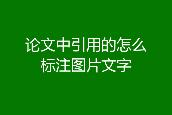 论文中引用的怎么标注图片文字