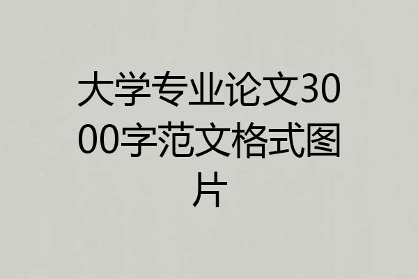 大学专业论文3000字范文格式图片