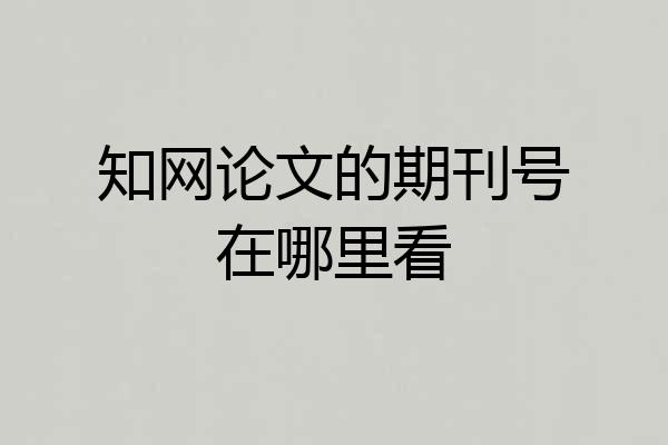 知网论文的期刊号在哪里看