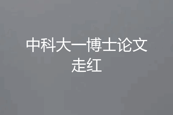 中科大一博士论文走红