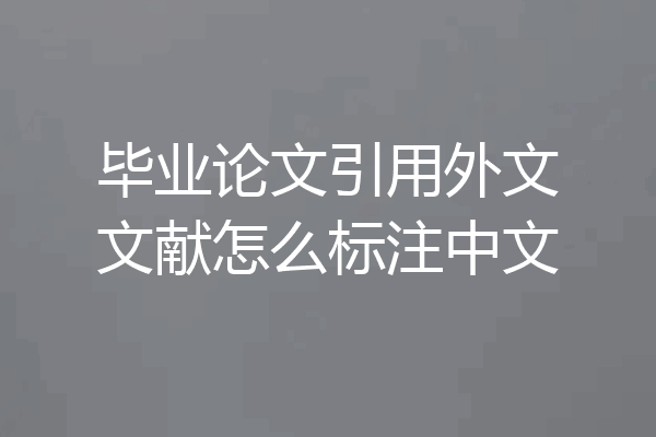 毕业论文引用外文文献怎么标注中文