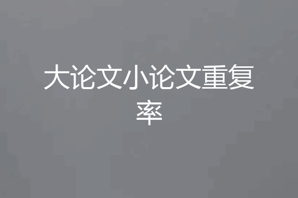 大论文小论文重复率