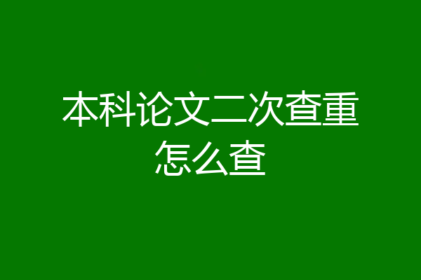 本科论文二次查重怎么查