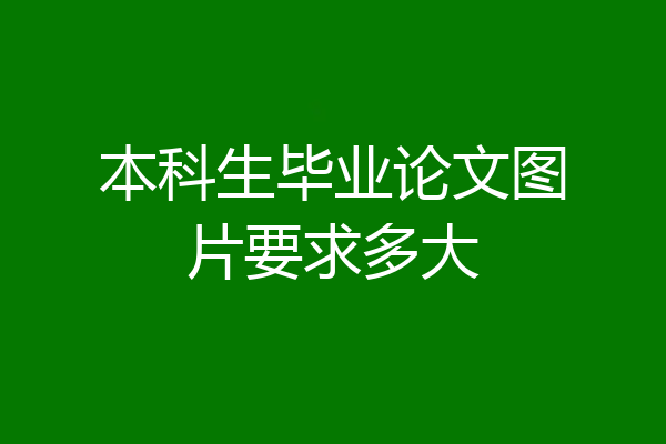 本科生毕业论文图片要求多大