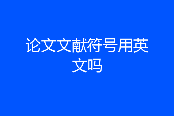 论文文献符号用英文吗