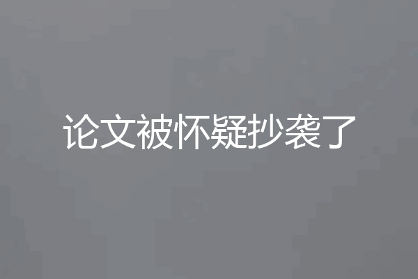 论文被怀疑抄袭了