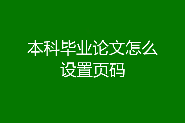 本科毕业论文怎么设置页码