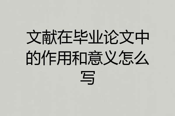 文献在毕业论文中的作用和意义怎么写