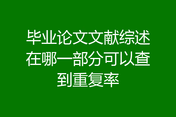 毕业论文文献综述在哪一部分可以查到重复率