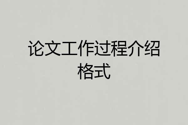 论文工作过程介绍格式
