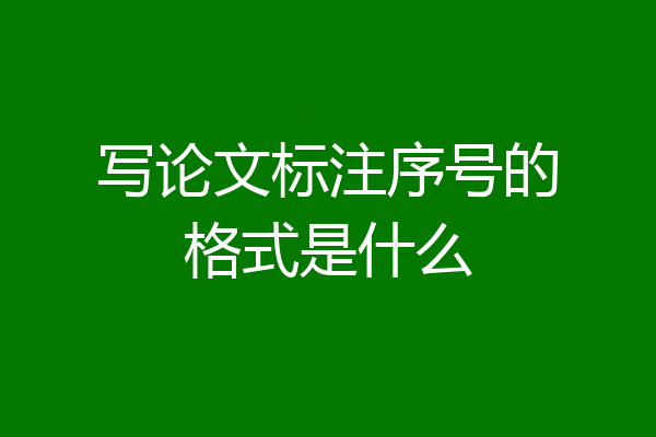 写论文标注序号的格式是什么