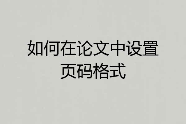 如何在论文中设置页码格式