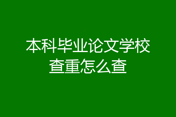 本科毕业论文学校查重怎么查