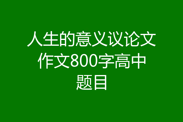 人生的意义议论文作文800字高中题目