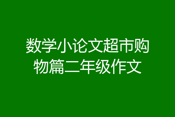 数学小论文超市购物篇二年级作文