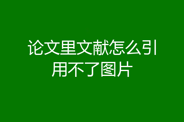 论文里文献怎么引用不了图片